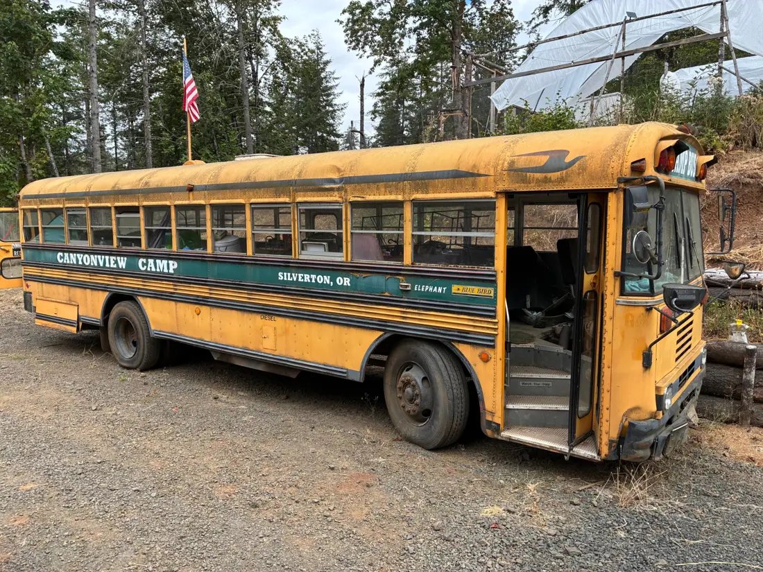 Side view of the yellow Blue Bird school bus parked on gravel